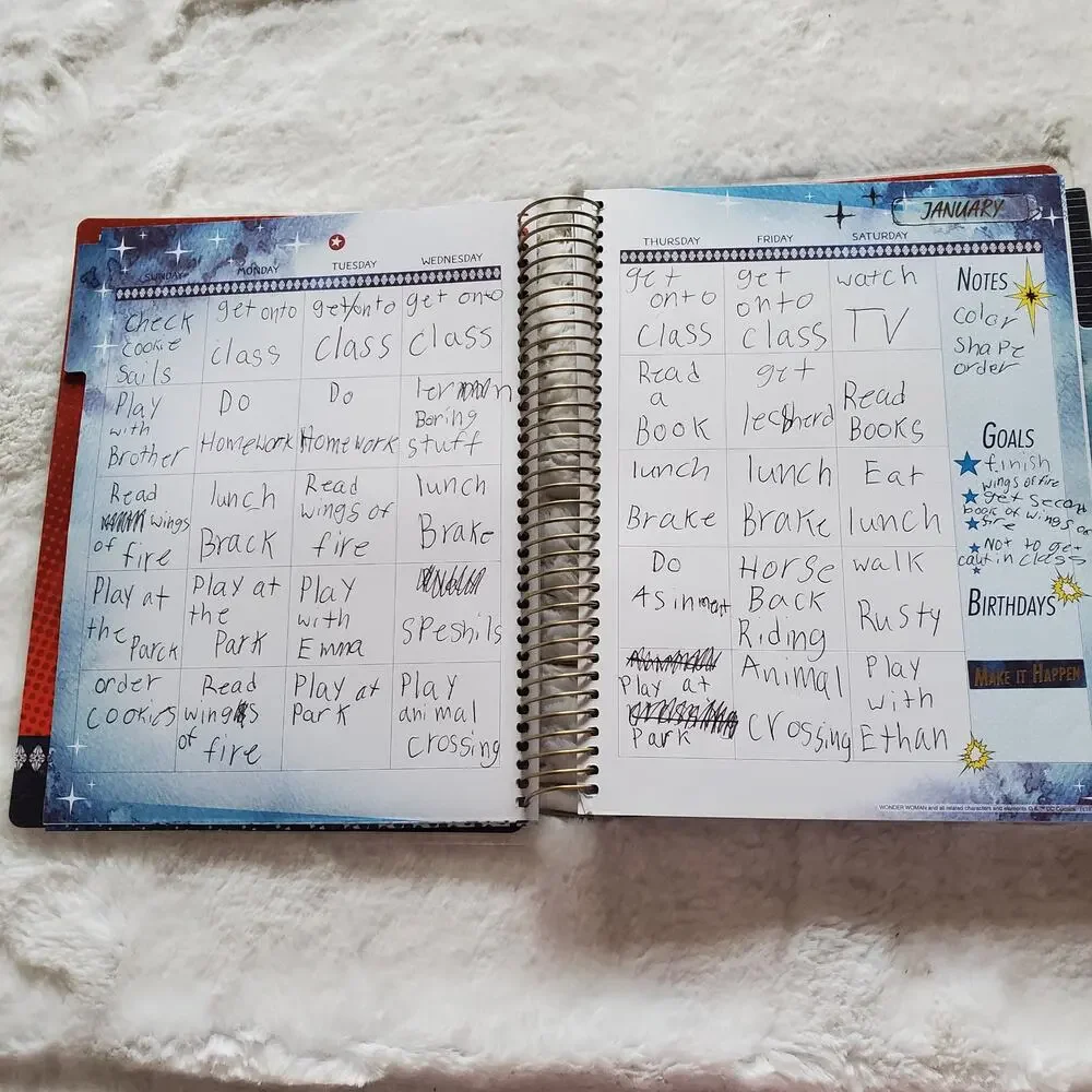 Wonder Woman DC Comics Organizer Planner Set